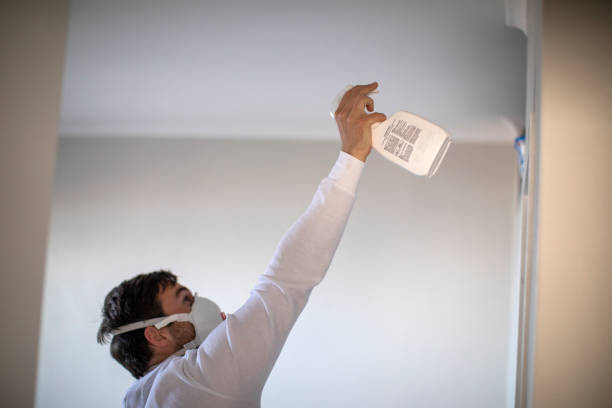 Best Mold Remediation  in Groveton, VA